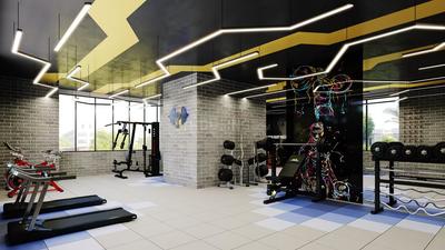 K Ajmera Ananta Gymnasium 1