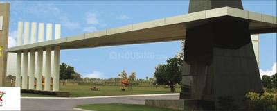 Project Image of 900.0 - 22644.04 Sq.ft Residential Plot Plot for buy in Omaxe City