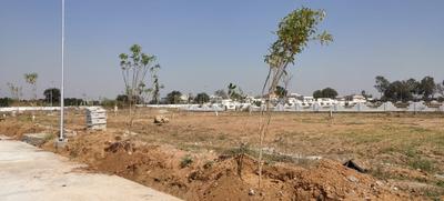 Project Image of 1468.2 - 14420.41 Sq.ft Residential Plot Plot for buy in Fortune Tandra Open Skies