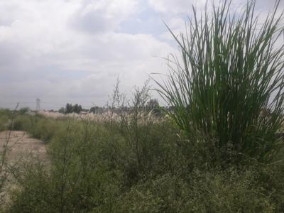 Project Image of 450.0 - 1800.0 Sq.ft Residential Plot Plot for buy in Vardah Aashiyana Enclave