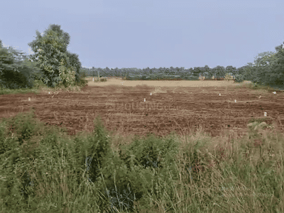 Project Image of 1000.0 - 4500.0 Sq.ft Residential Plot Plot for buy in House Of Amethyst Teak Garden