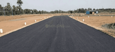 Project Images