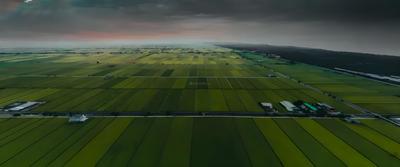 Project Image of 1200.0 - 1800.0 Sq.ft Residential Plot Plot for buy in DivyaSree Whispers of the Wind