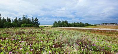 Project Image of 2635.0 - 62969.0 Sq.ft Residential Plot Plot for buy in Radiance Marina Phase 2