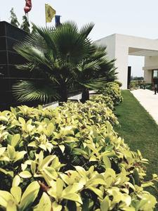 Project Image of 1240.0 - 2100.0 Sq.ft 2 BHK Villa for buy in Wing Lucknow Greens Villa