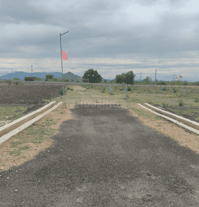 Project Images