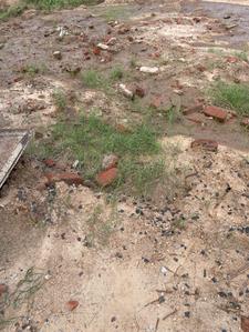 Project Image of 768.44 - 1685.2 Sq.ft Residential Plot Plot for buy in DR Bliss 3