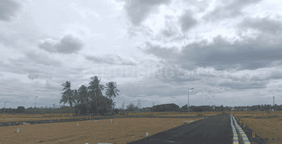 Project Images