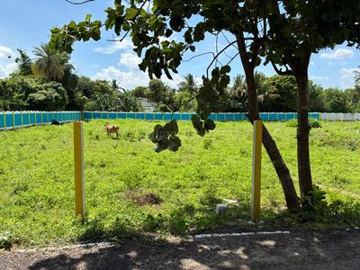 Project Image of 862.0 - 1378.0 Sq.ft Residential Plot Plot for buy in Swarna Sakthi Nagar