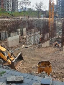 Project Image of 479.0 - 1237.0 Sq.ft 1 BHK Apartment for buy in Austin Lush Residences