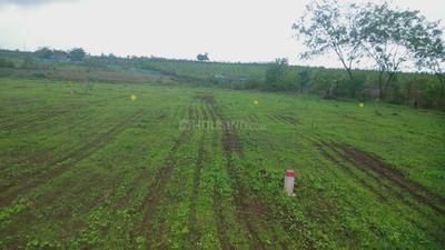 Project Image of 0.0 - 1200.0 Sq.ft Residential Plot Plot for buy in Regal Avenue