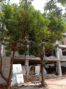 Project Image of 1368.0 - 1701.0 Sq.ft 2 BHK Apartment for buy in Trinity Pearl