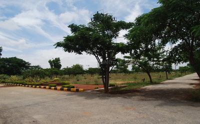Project Image of 1200.0 - 2400.0 Sq.ft Residential Plot Plot for buy in Aashrayaa Aero Springs