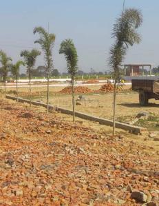 Project Image of 900.0 - 4500.0 Sq.ft Residential Plot Plot for buy in Zameen Aerocity