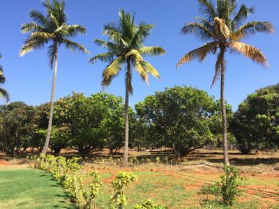 Project Image of 1108.0 - 2400.0 Sq.ft Residential Plot Plot for buy in Shriram Godhuli