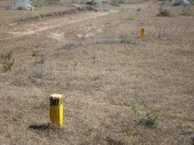 Project Image of 1680.0 - 5184.0 Sq.ft Residential Plot Plot for buy in Suchirindia West Brook And Sierra