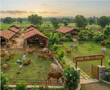 Project Image of 1125.0 - 1350.0 Sq.ft Residential Plot Plot for buy in Laadli Govindvan