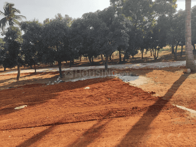 Project Image of 1212.45 - 5942.43 Sq.ft Residential Plot Plot for buy in Shreyas Natures Sign