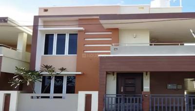Gallery Cover Pic of Sebco Gulmohar