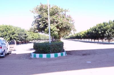 Project Image of 1350.0 - 4500.0 Sq.ft Residential Plot Plot for buy in Felicity Estancia