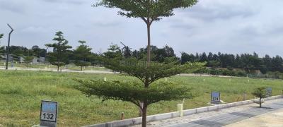 Project Image of 690.72 - 9966.3 Sq.ft Residential Plot Plot for buy in VR Mega Township