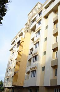 Gallery Cover Pic of Plama Diamond