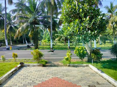 Project Image of 2400.0 - 9600.0 Sq.ft Residential Plot Plot for buy in Lereve
