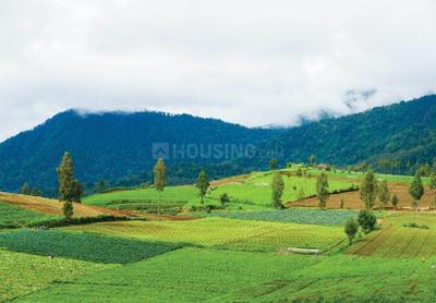 Project Image of 1237.85 - 4553.13 Sq.ft Residential Plot Plot for buy in Foothills Of Matheran P 2