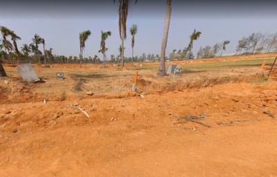 Project Image of 807.0 - 2400.0 Sq.ft Residential Plot Plot for buy in Century Greens