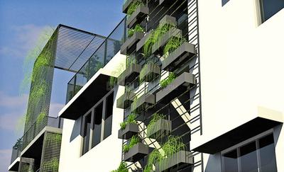 Amethyst Silver Springs Elevation 1