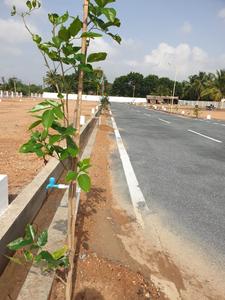 Project Image of 450.0 - 2340.0 Sq.ft Residential Plot Plot for buy in The Elite Enclave