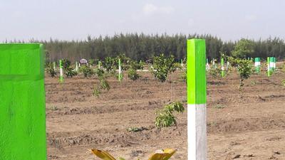 Project Image of 9600.0 - 19999.0 Sq.ft Residential Plot Plot for buy in Kingmakers Farm Land