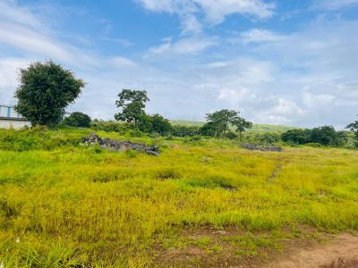 Project Image of 1000.0 - 10000.0 Sq.ft Residential Plot Plot for buy in Capstone Land Plots In Belondakhar