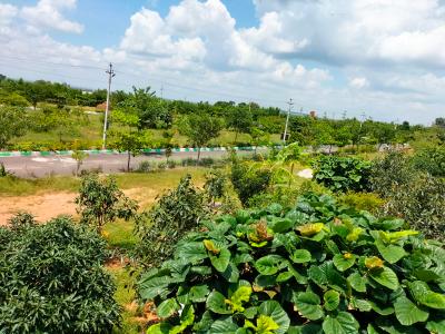 Project Image of 1323.0 - 3600.0 Sq.ft Residential Plot Plot for buy in True The Orchard