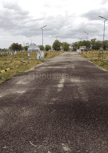 Project Images