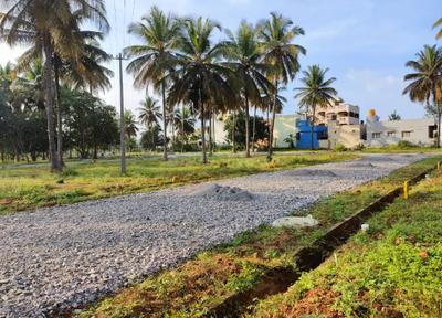 Project Image of 890.18 - 3281.92 Sq.ft Residential Plot Plot for buy in Universal Magnolia Rain Tree