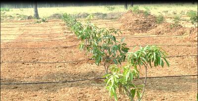 Project Image of 1800.0 - 3600.0 Sq.ft Residential Plot Plot for buy in USM My City Go Ranch