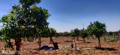 Project Image of 955.0 - 2400.0 Sq.ft Residential Plot Plot for buy in Bhumi Venus Gate Way Phase 2