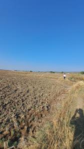 Project Image of 1089.0 - 16000.0 Sq.ft Residential Plot Plot for buy in Aerocity Residential And Commercial Plots In Panvel