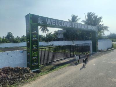 Project Image of 338.0 - 2244.0 Sq.ft Residential Plot Plot for buy in M A M Nagar