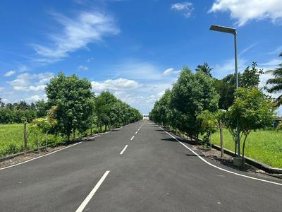 Project Image of 600.0 - 1243.0 Sq.ft Residential Plot Plot for buy in Premier Saraswathi Nagar