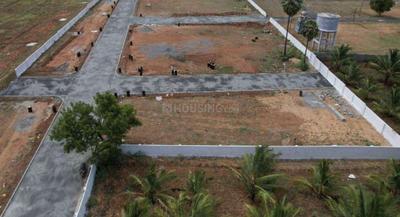 Project Images