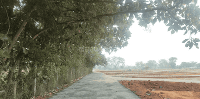 Project Images
