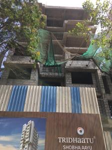 Project Image of 535.0 - 944.0 Sq.ft 1 BHK Apartment for buy in Tridhaatu Shobha Aayu