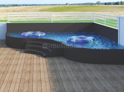 Milestone Yogi Swimming Pool 2