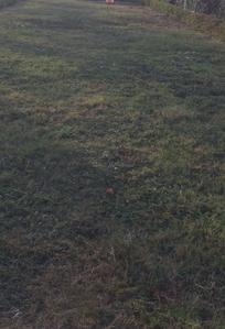 Project Image of 1199.31 - 1799.4 Sq.ft Residential Plot Plot for buy in Shreeji Infrastructure Vaishali