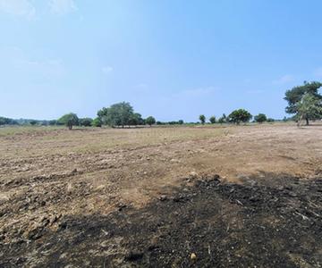 Project Image of 3595.15 - 48599.06 Sq.ft Residential Plot Plot for buy in Ridge Kshetra