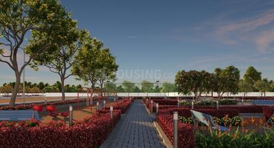 Project Images