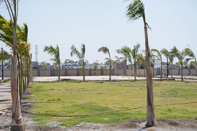 Project Image of 900.0 - 1200.0 Sq.ft Residential Plot Plot for buy in VKG Devbhumi