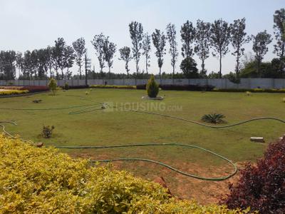 Project Image of 0.0 - 1200.0 Sq.ft Residential Plot Plot for buy in Peninsula Pine woods